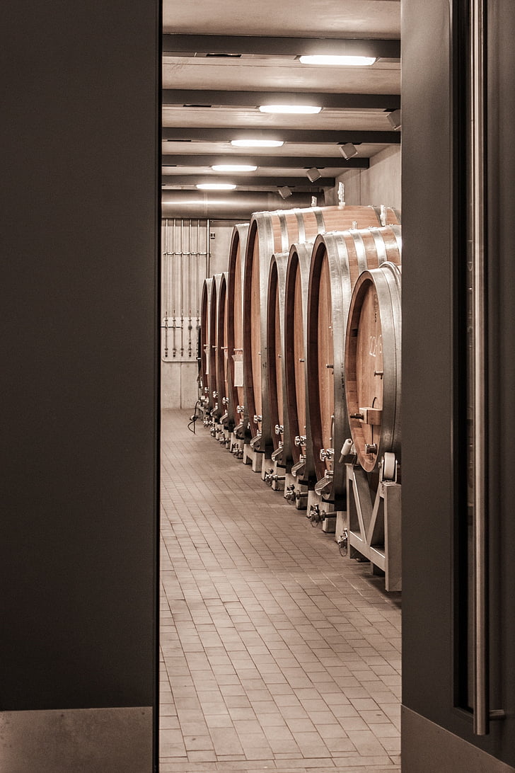 veini, barrel, veini barrel, barrelit, puidust tünnid, veini vaatides, Keller
