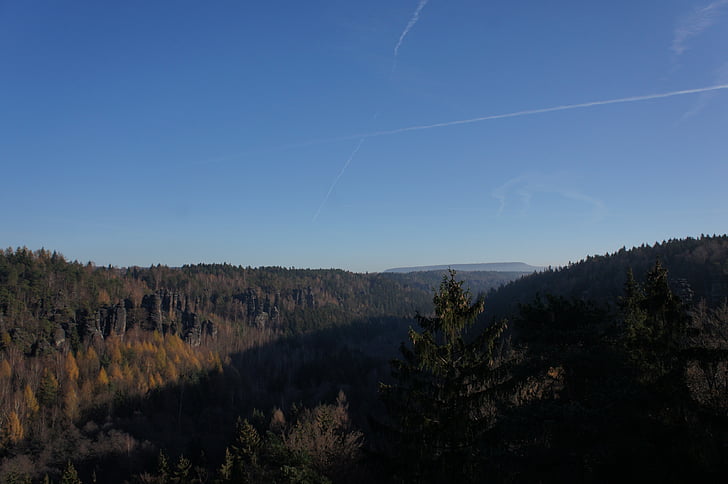contrail, clear, nature, landscape, view, forest, tree
