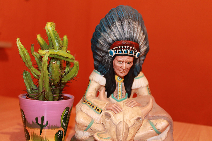 kaktus, Indiáni, šéf, obrázok, kultúr