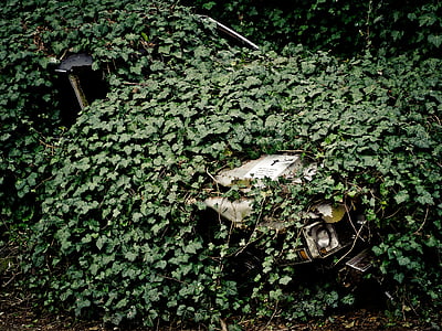 auto, wreck, scrap, oldtimer, old, broken, vehicle