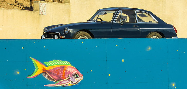 cotxe vell, peix, fantasia, graffiti, color, Xipre, Paralimni