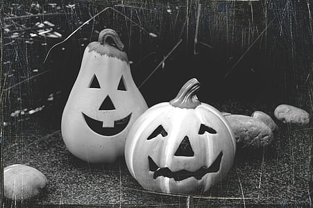 Halloween, octobre, automne, citrouille, Fash, décoration, bizarre
