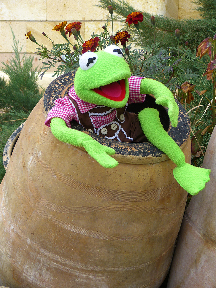 Kermit, ếch, màu xanh lá cây, thùng, tấn, nồi đất sét, niềm vui