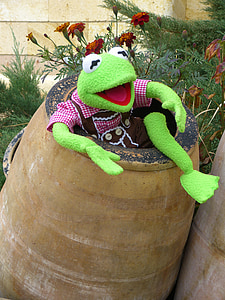 Kermit, sapo, verde, barril, tonelada, panela de barro, alegria