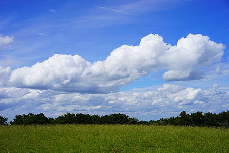 clouds, cloud formations, heathland, landscape, nature, idyll, sky