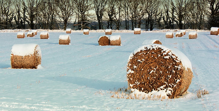 landscape, winter, hay, bales, winter landscape, snow, nature