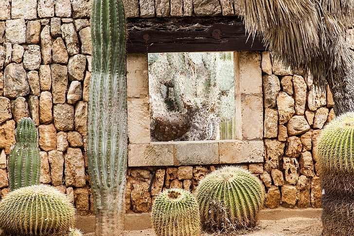 suhozidom, prozor, kaktus, gledajući, mediteranska, kultura