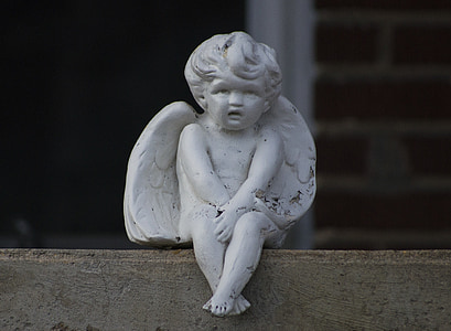 Angel, ornament, innredning, dekorasjon, perched, sitter, uskyldig