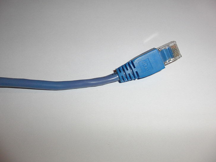 réseau, câble, Ethernet, fiche, WLAN, bleu