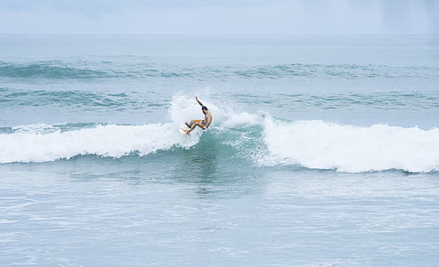 hombre, de surf, mar, durante el día, agua, onda de mar, crestas