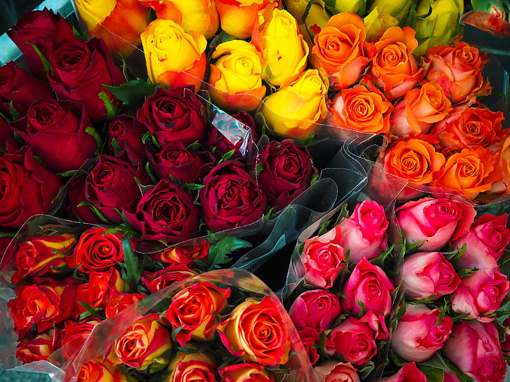 kwiaty, bukiet, czerwony, róże, kolorowe, klomb, Walentynki