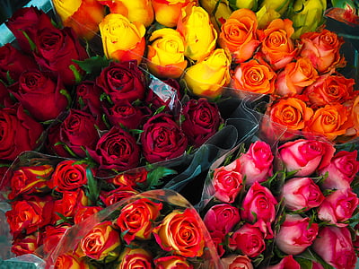 blomster, buket, rød, roser, farverige, blomsterarter arrangement, Valentinsdag