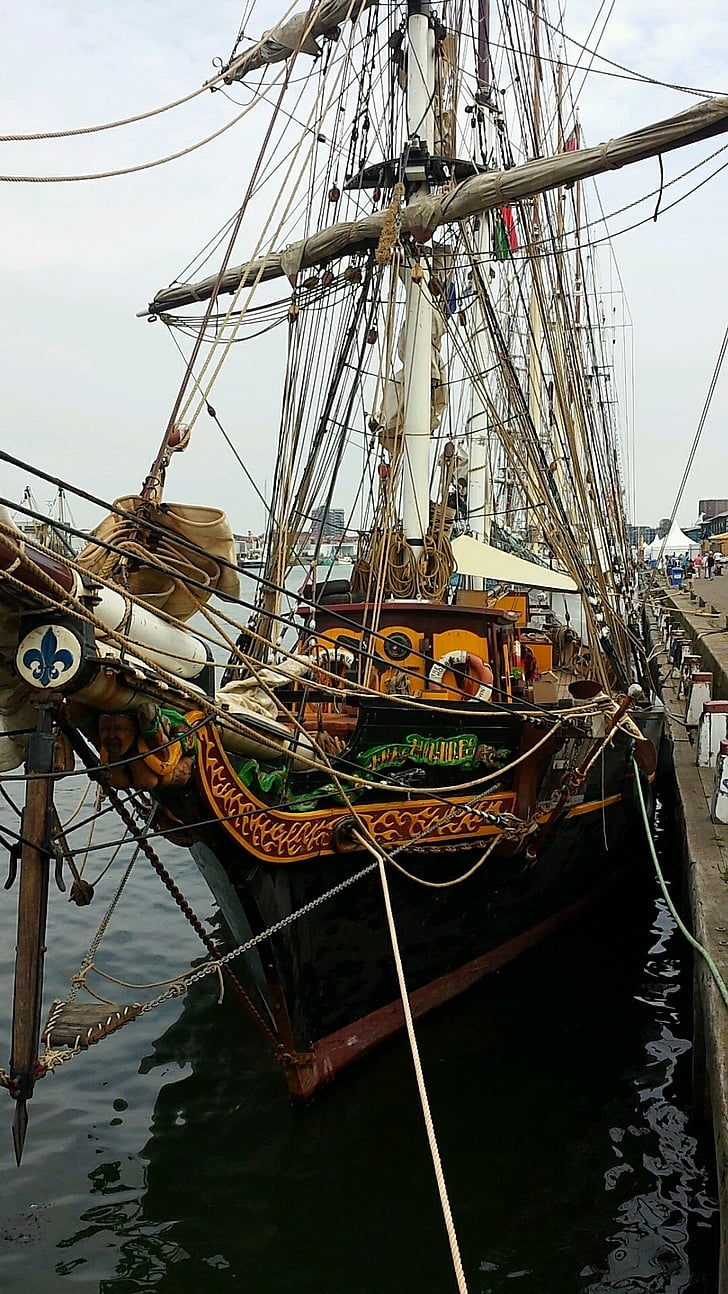 IJmuiden, barco de vela, lirio francés