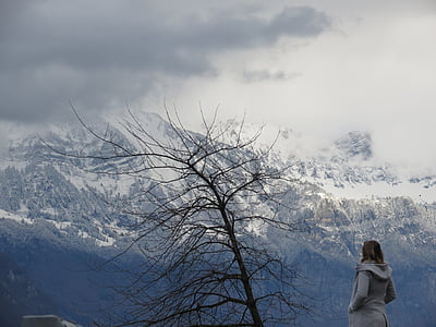 Príroda, Mountain, Švajčiarsko, Príroda, sneh, Panorama, stromy