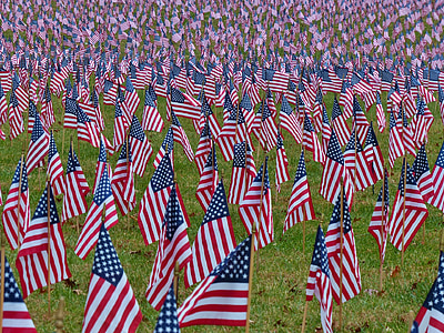 Bandiere, americano, Stati Uniti d'America, patriottico, nazione, nazionale