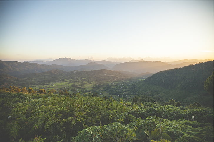 landscape, photography, rainforest, green, trees, grass, mountains
