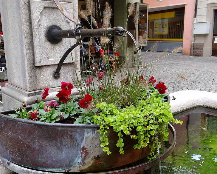 Fontana, cvijeće, Crveni, zelena, kanta, mlaz vode, Ukras sa grotesknim likom