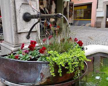 fountain, flowers, red, green, bucket, water jet, gargoyle