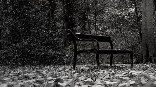 black and white, park bench, park, bank, forest, nature, rest