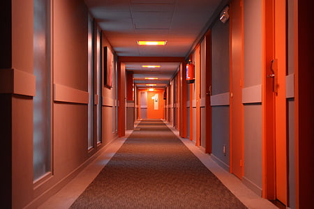 Hotel, banda, punto de vista, piso, puertas, en el interior, corredor