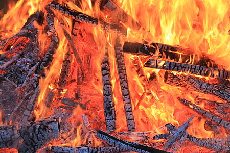 fire, flame, burn, flame log fire