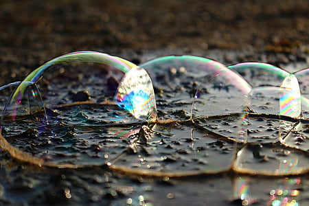 coup, eau, flaque d’eau, bulles de savon, bulles d’air, lard, bulles d’eau