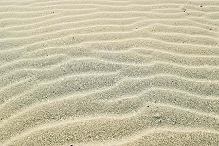 smėlio, bangos, paplūdimys, kopos, fonai, viso kadro, banguotas