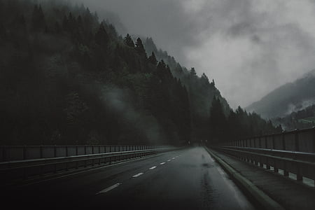 gray, road, cloud, forest, mountain, tree, express way
