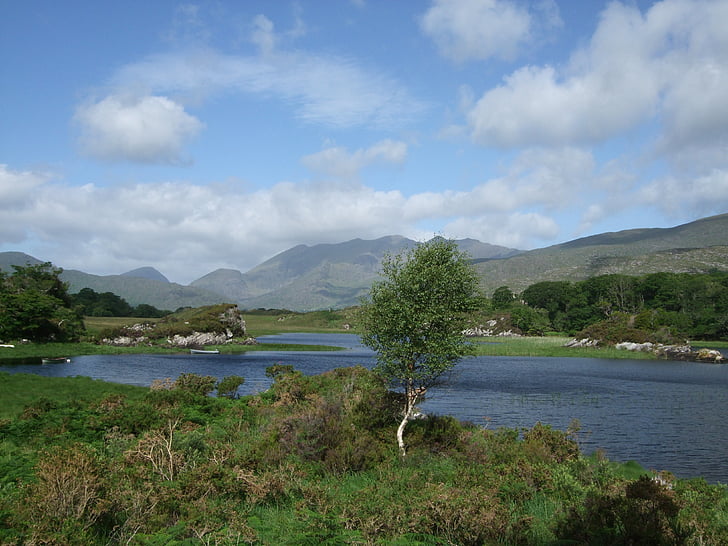 Parc national, Killarney, Irlandais, paysage, Tourisme, montagne, paysage