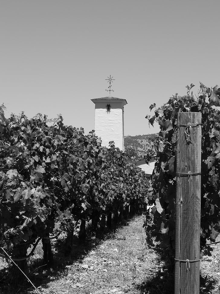 vinograd, stavbe, vino, kmetijstvo, vinogradništvo, podeželje, vinske trte