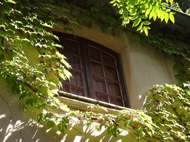 ventana, persianas, arquitectura, edificio, exterior, marco de la, ventana de casa
