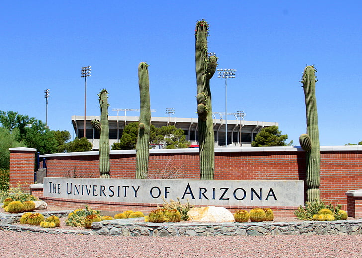 University of arizona, UofA, Egyetem, Arizona, iskola, Campus, Tucson