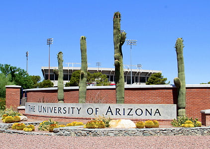 Arizonos universiteto, UofA, universitetas, Arizona, mokyklos, universiteto, Tucson