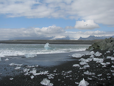 Island, stranden, svart sand, isberg