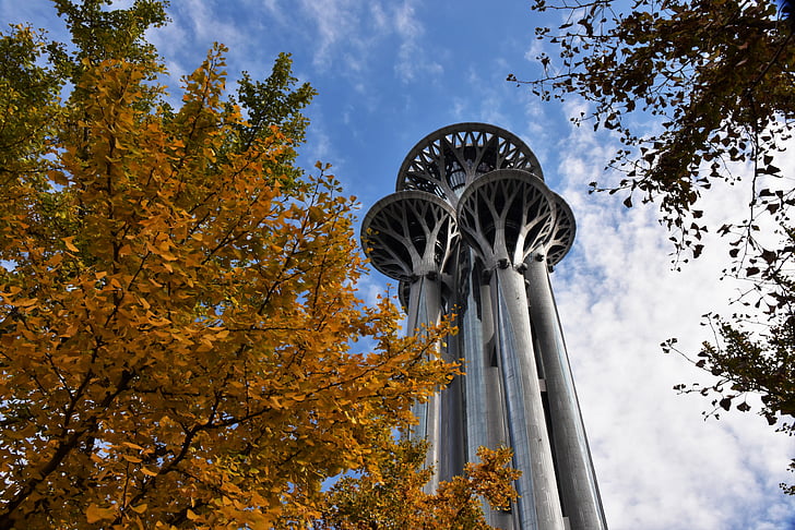 jesień, budynek, park olimpijski, Olympic tower, Beijing, Beijing landmark, drzew Ginkgo