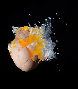 huevo, tiro, explosión, alimentos, amarillo, fondo negro