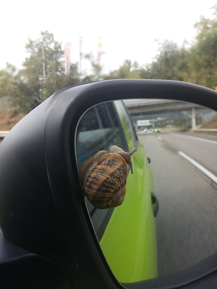 car, snail, swiss, drive, race, road, highway