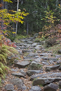 wandelen, natuur, pad, traject, rotsen, stenen, Trail