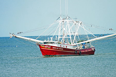 shrimp boat, fishing boat, boat, fishing, nautical Vessel, sea, transportation
