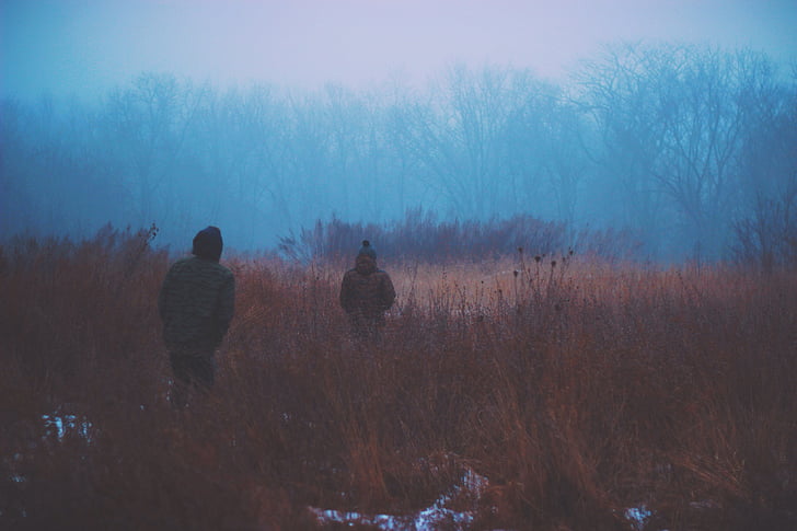adventure, cold, field, foggy, hiking, nature, people