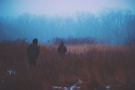 Приключения, холодная, поле, Туманный, Пешие прогулки, Природа, люди