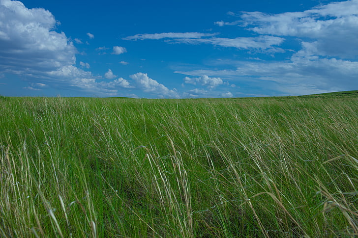Prairie, naturen, Chifeng