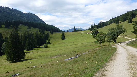vzdialenosť, Lane, Bavaria, Allgäu, medveď moss alpe, hlásené