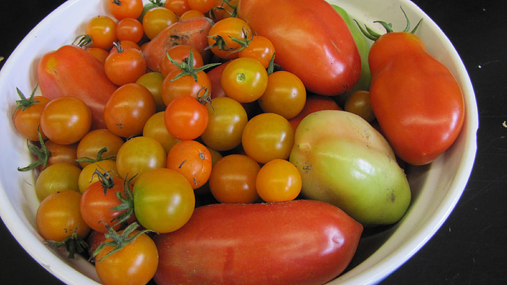 tomat, musim panas, panen, segar, organik, vegetarian