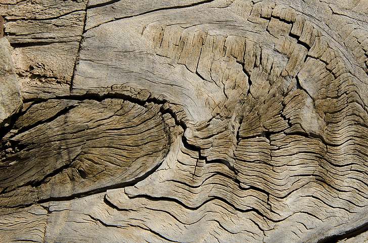 wood, former, veins, texture, wood - Material, backgrounds, pattern