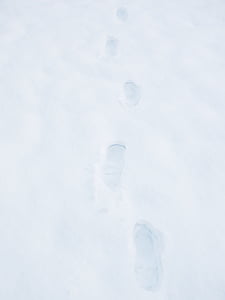 pēdas, pēdas, sniega, sniega klaidonis, ziemas, aukstā - temperatūra, daba