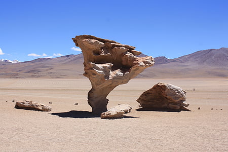 bolivia, rock formation, desert, rock tree