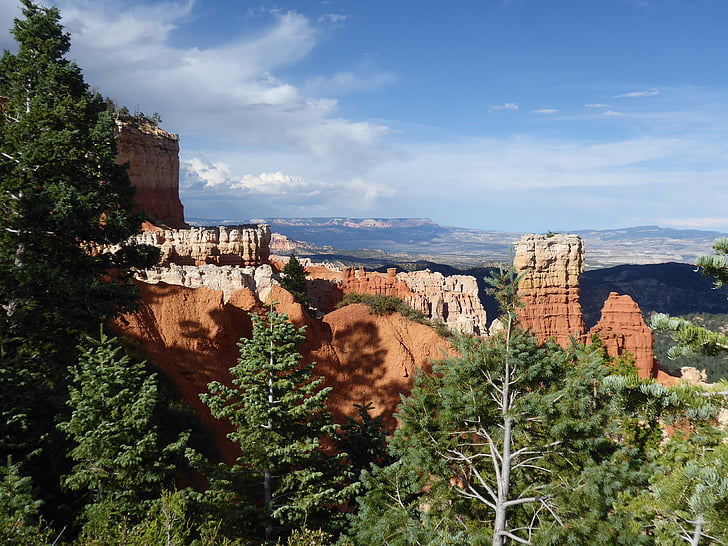 canyon, bryce, united states, landscape, tourist site, cliff, wood