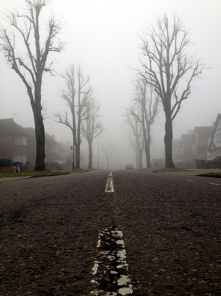 street, road, foggy, path, passage, exit, urban
