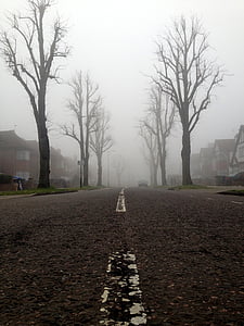 calle, carretera, hay niebla, Ruta de acceso, paso, salida, urbana